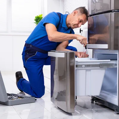 Elite Appliance Freezer Image